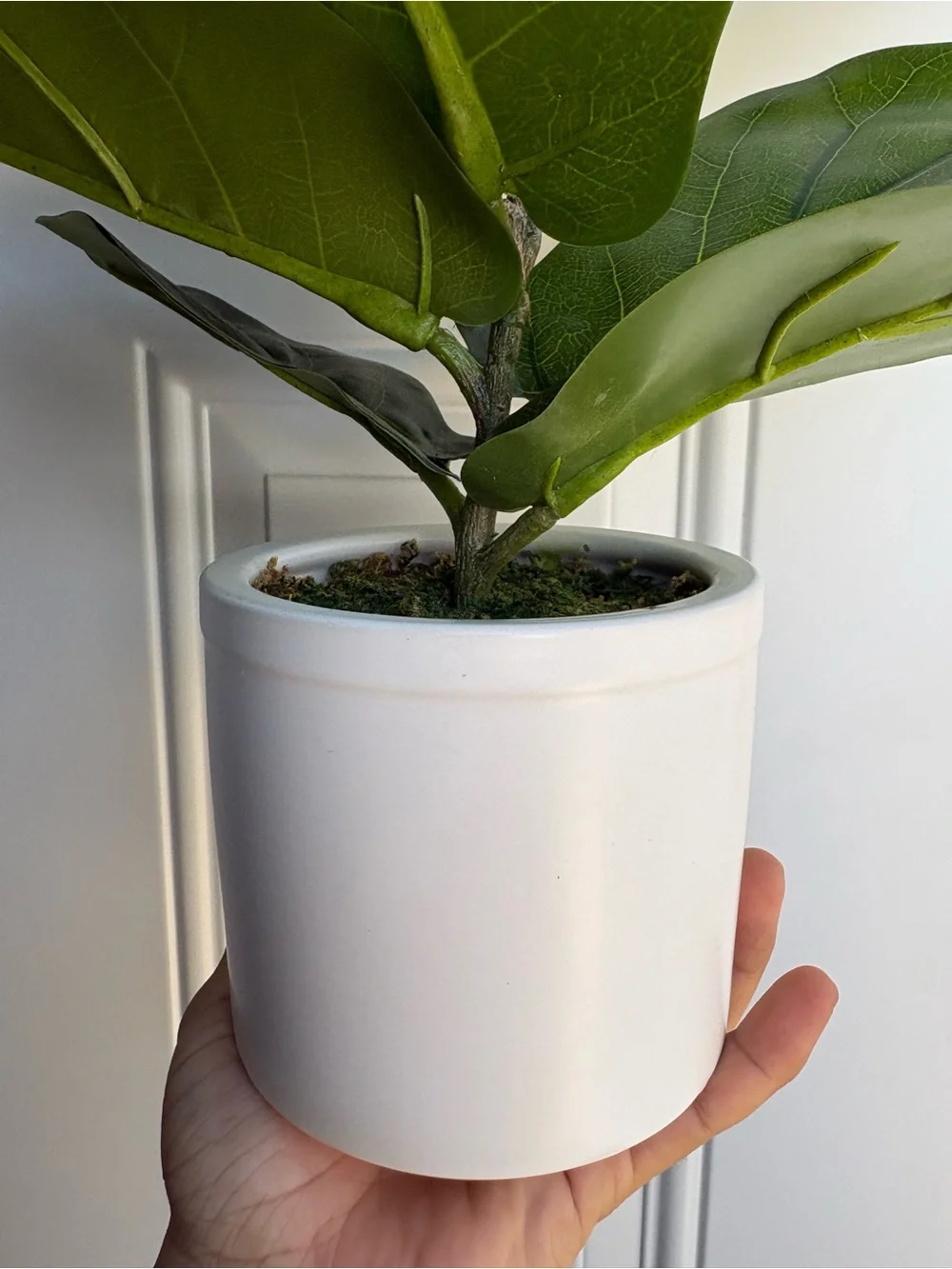 Artificial Fiddle Leaf Plant in Pot - Threshold: Lush Greenery, Ceramic Base
